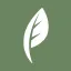 plunkett.co.uk favicon