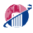 travelis.dk favicon