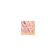 nailsalondeluxe.dk favicon
