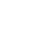 starevolution.it favicon