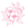 cityflowershop.com favicon