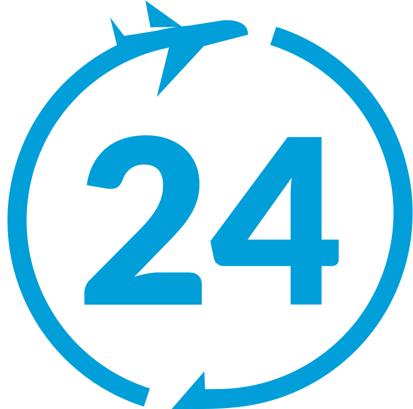delayflight24.com favicon