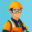 gevelreinigingdenbosch.com favicon