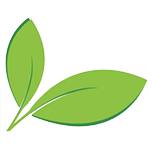 greenrentacar.bg favicon
