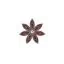 oddechcynamonu.pl favicon