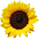 wku-wir-kennen-uns.de favicon