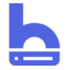 bithost.io favicon