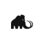 mammoth.loans favicon