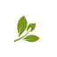 okanaganmassage.ca favicon