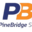 pinebridgeshipping.com favicon