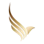 salaminv.com favicon
