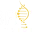 britpeptides.co.uk favicon