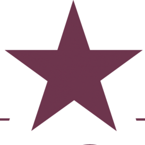 favour-events.com favicon