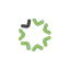 snapadvances.com favicon