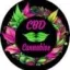 cannabise.fr favicon