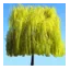 willownurseries.co.uk favicon