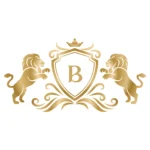 bulgarian-limousine.com favicon