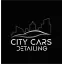 citysteamwash.dk favicon