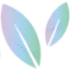 drpeterholsman.com.au favicon