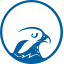 Falconholdings favicon