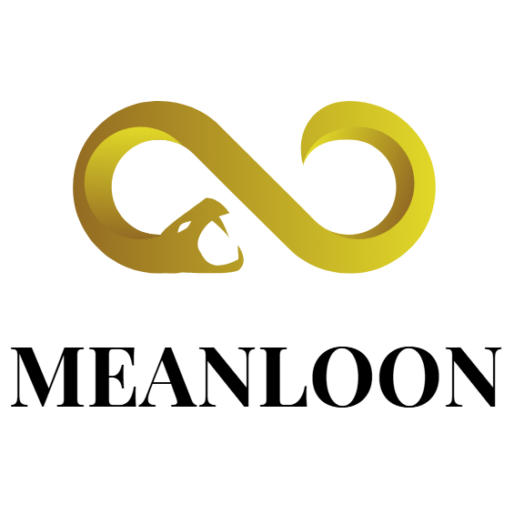 meanloon.com favicon