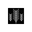 sallwhisky.com favicon