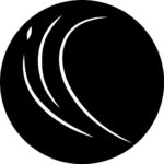 siliconecrew.com favicon