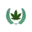 cannasmed.com favicon