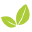 nutrivitashop.com favicon