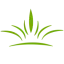 rajniherbal.com favicon