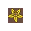sambavanilla.com favicon