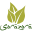 sorazora.com favicon