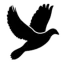 ukaffair.com favicon