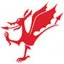 walesfirstaid.com favicon