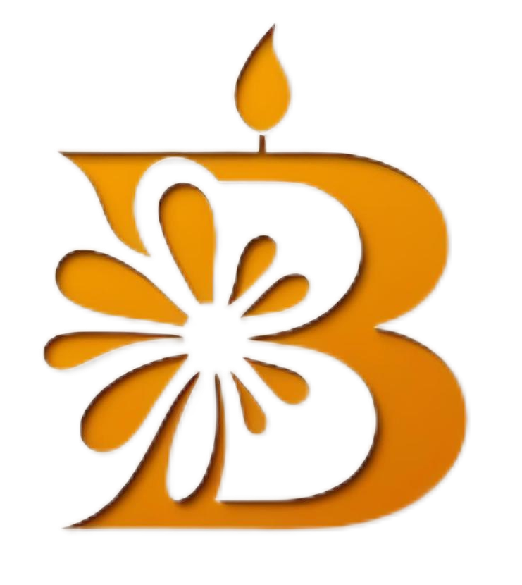 baizhi-cn.com favicon