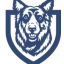 indyrisk.com favicon