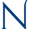 netherbridge.nl favicon