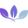 organicpoint.ca favicon
