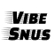 vibesnus.com favicon