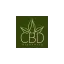 bienfaitscbd.fr favicon