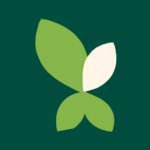 calibridge.in favicon