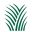 nucelle.com favicon