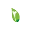 samedresorts.com favicon