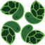 allturtles.com favicon