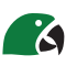 araflora.nl favicon