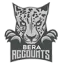 beraccounts.com favicon