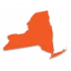 newyorkregisteredagent.com favicon