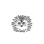pindsvin.dk favicon