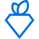 rarecarat.com favicon