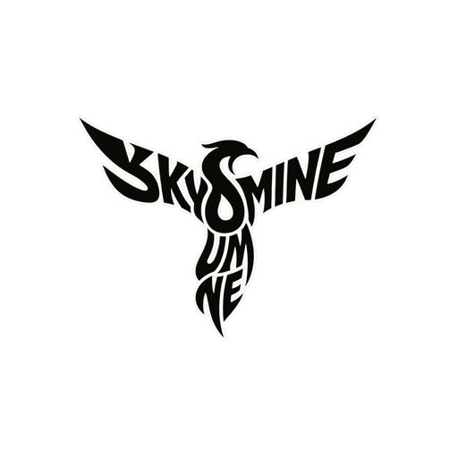 skylumine.com favicon